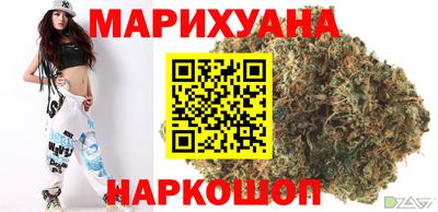молекула духа Новозыбков