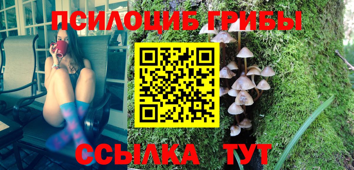 купить   Галлюциногенные грибы Psilocybe  Галлюциногенные грибы Cubensis  Вход с VPN  Унеча 